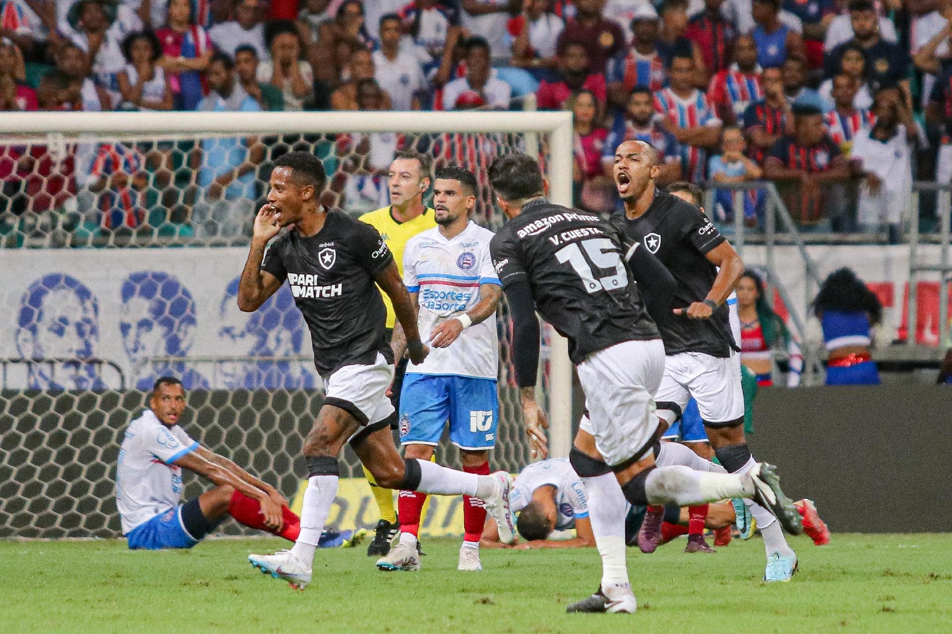 Botafogo x Bahia: palpites, escalações e onde assistir - 30/07/2024