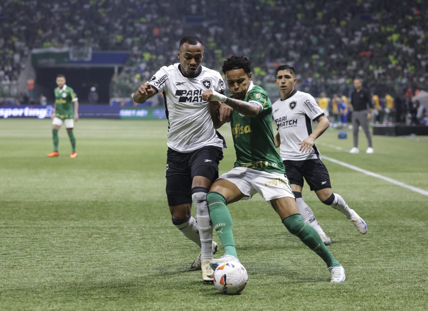 Palmeiras x Botafogo: palpites, onde assistir e escalações - 26/11/2024