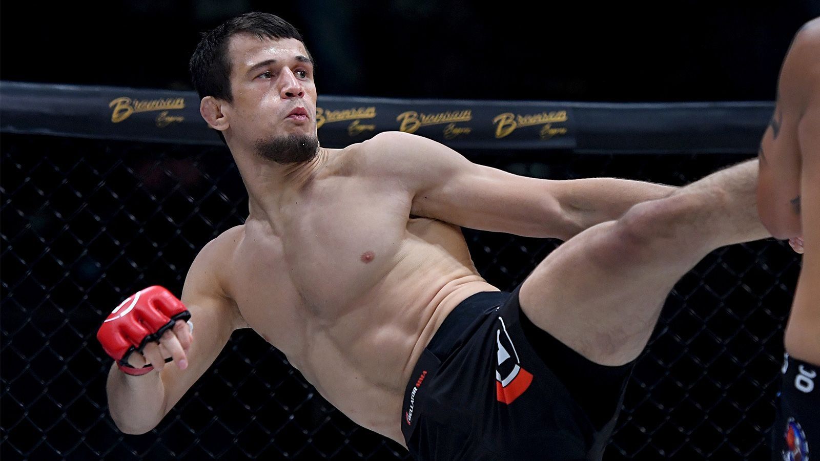 ACA Vice President Badaev: Nurmagomedov's Victory Over Shabli Shows How Good Usman Is