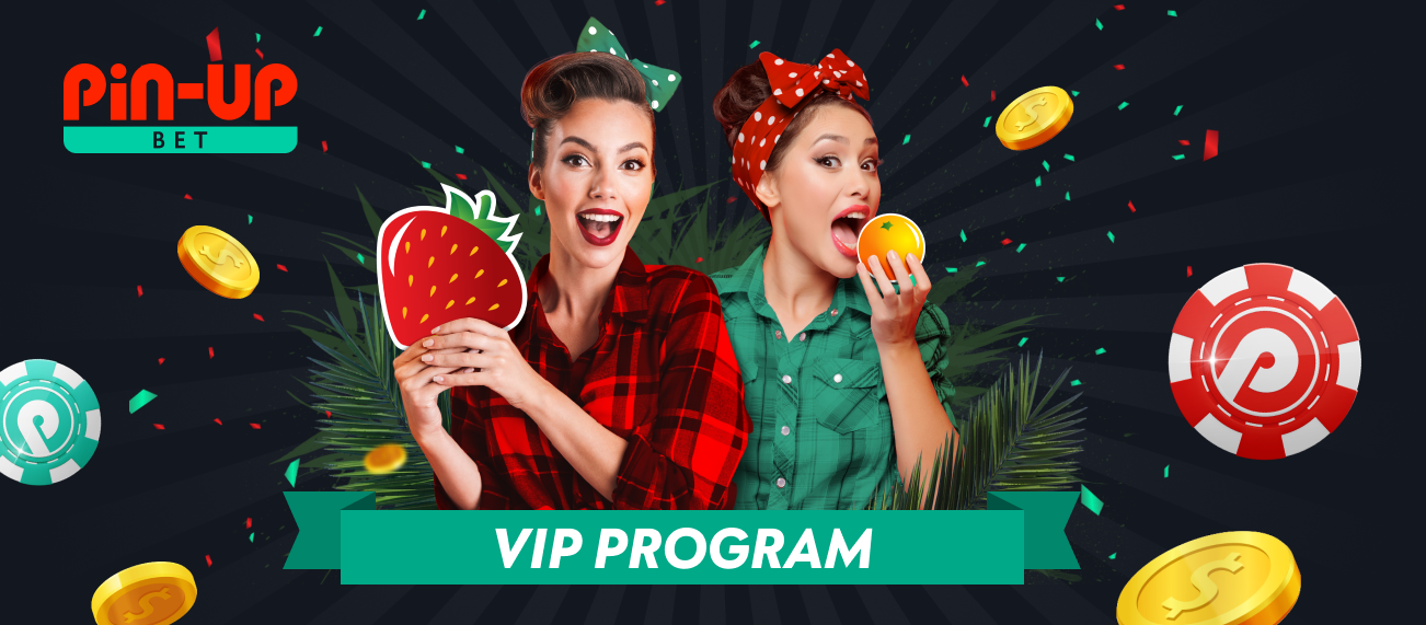 Pin Up India VIP Program