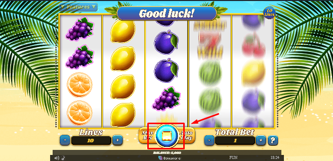 How to Play 100 Juicy Fruits