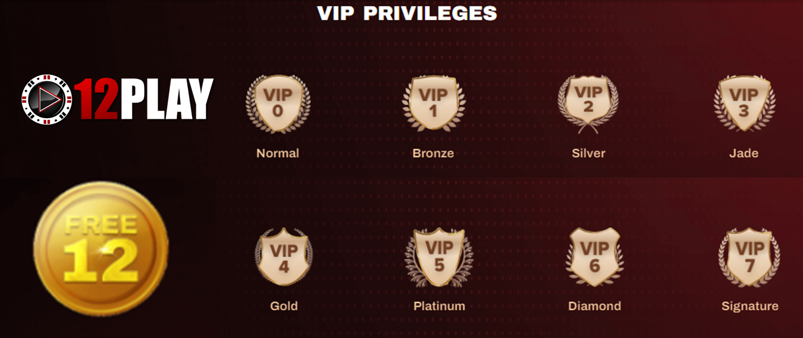 12Play VIP Program